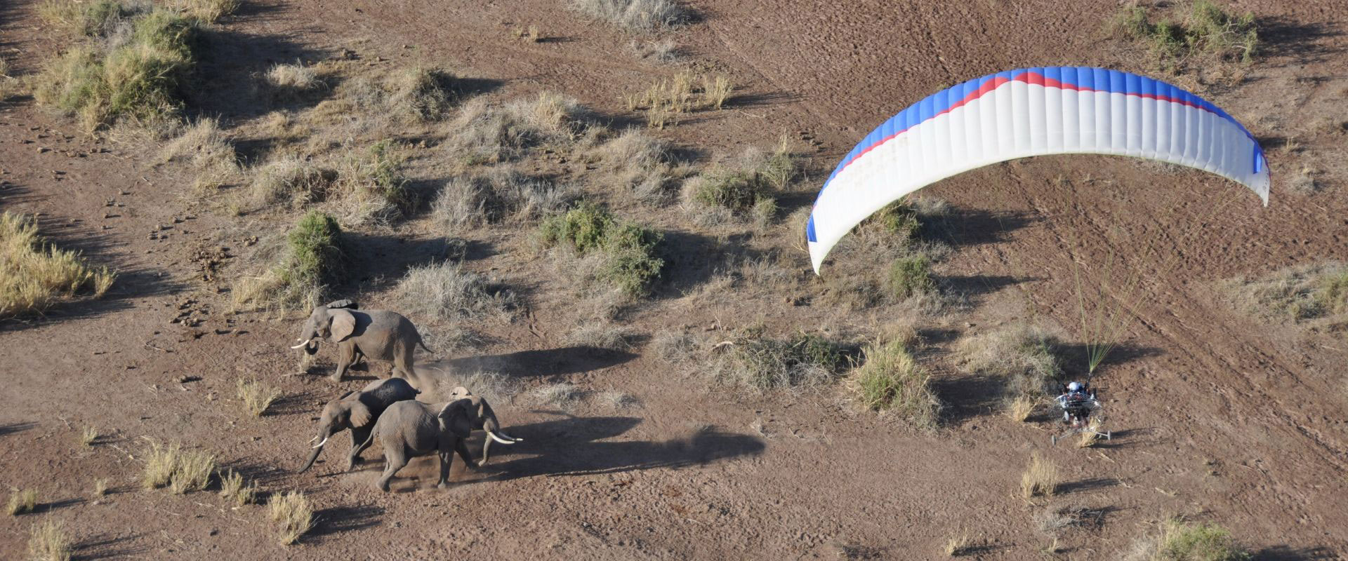 paramotor volando con elefantes