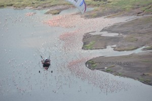 filmacion flamencos